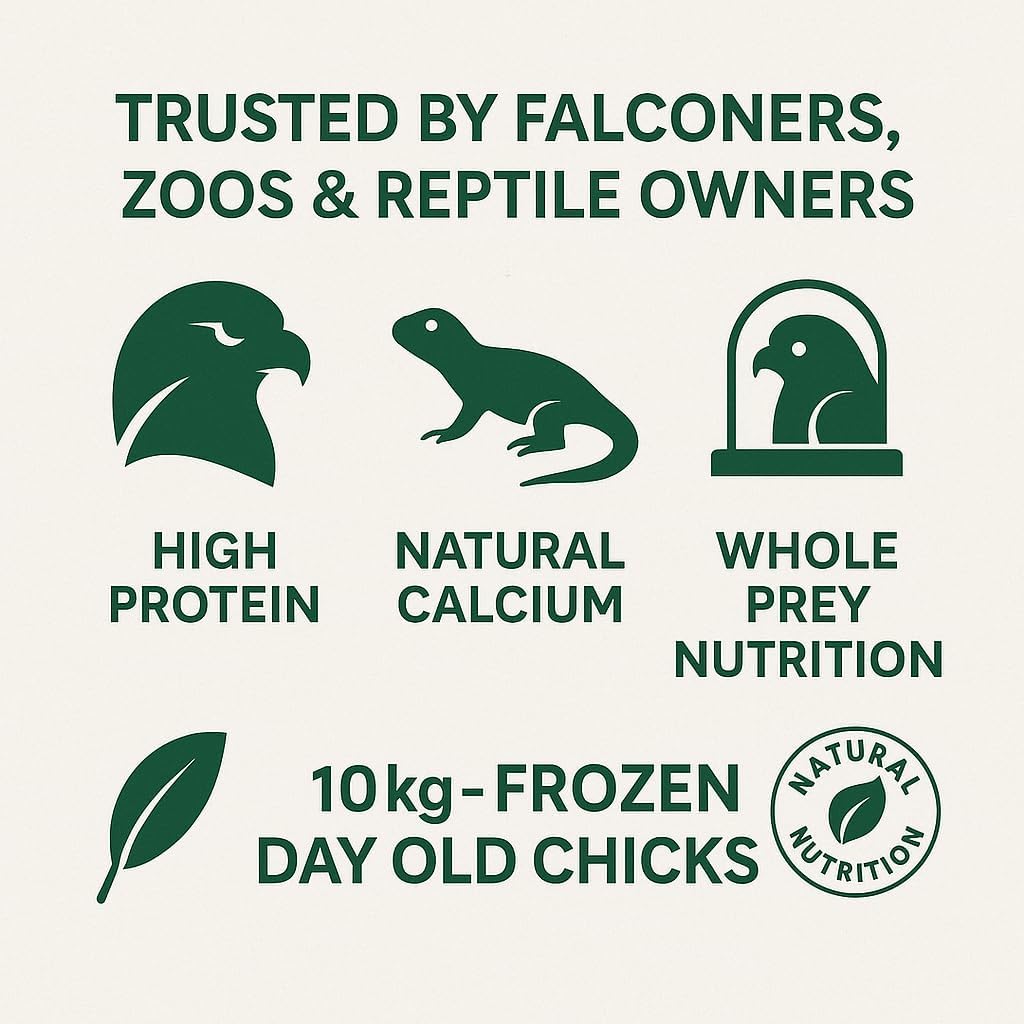 Promotional graphic for frozen day-old chicks trusted by falconers, zoos, and reptile owners with icons and text on a white background for SiarFrozen