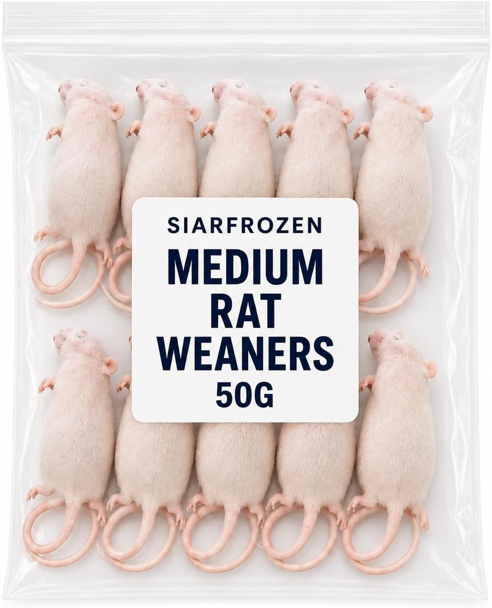 SiarFrozen Medium Rat Weaners 50g (Pack of 10) | Frozen Feeder Rats for Snakes, Reptiles, Monitors & Birds of Prey | Natural Whole Prey Food | Individually Frozen | High Protein Reptile Food