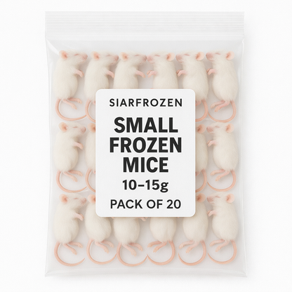 SiarFrozen Small Mice 10–15g (20 Pack)