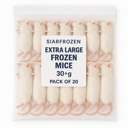 SiarFrozen XL Mice 20-pack — Large frozen mice weighing over 30g each, vacuum-sealed for bulk reptile feeding and birds of prey.