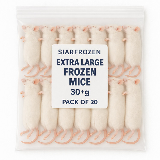 SiarFrozen XL Mice 20-pack — Large frozen mice weighing over 30g each, vacuum-sealed for bulk reptile feeding and birds of prey.
