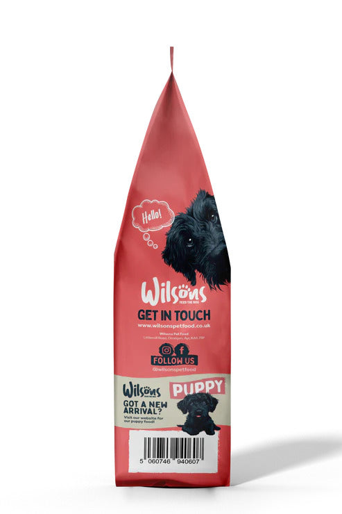 Wilson’s Cold Pressed Salmon Dog Food – Natural Dry Dog Food (2kg & 10kg)