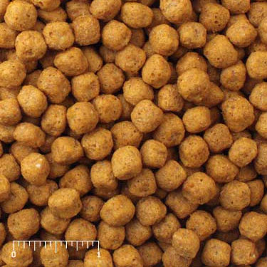 Mazuri Parrot Breeder Diet 11.33kg