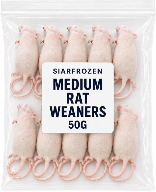 SiarFrozen™ Medium Frozen Rat Weaners 50g — 10 Pack