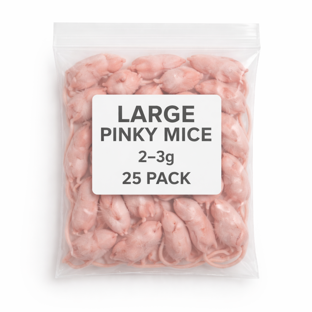 SiarFrozen Large Pinky Mice 25-pack — Bulk pack of frozen large pinky mice (2g-3g), a nutrient-dense starter feed for hatchling reptiles.