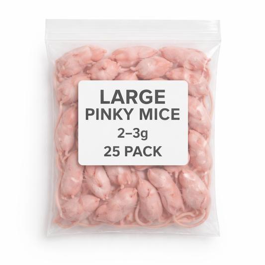 SiarFrozen Large Pinky Mice 25-pack — Bulk pack of frozen large pinky mice (2g-3g), a nutrient-dense starter feed for hatchling reptiles.