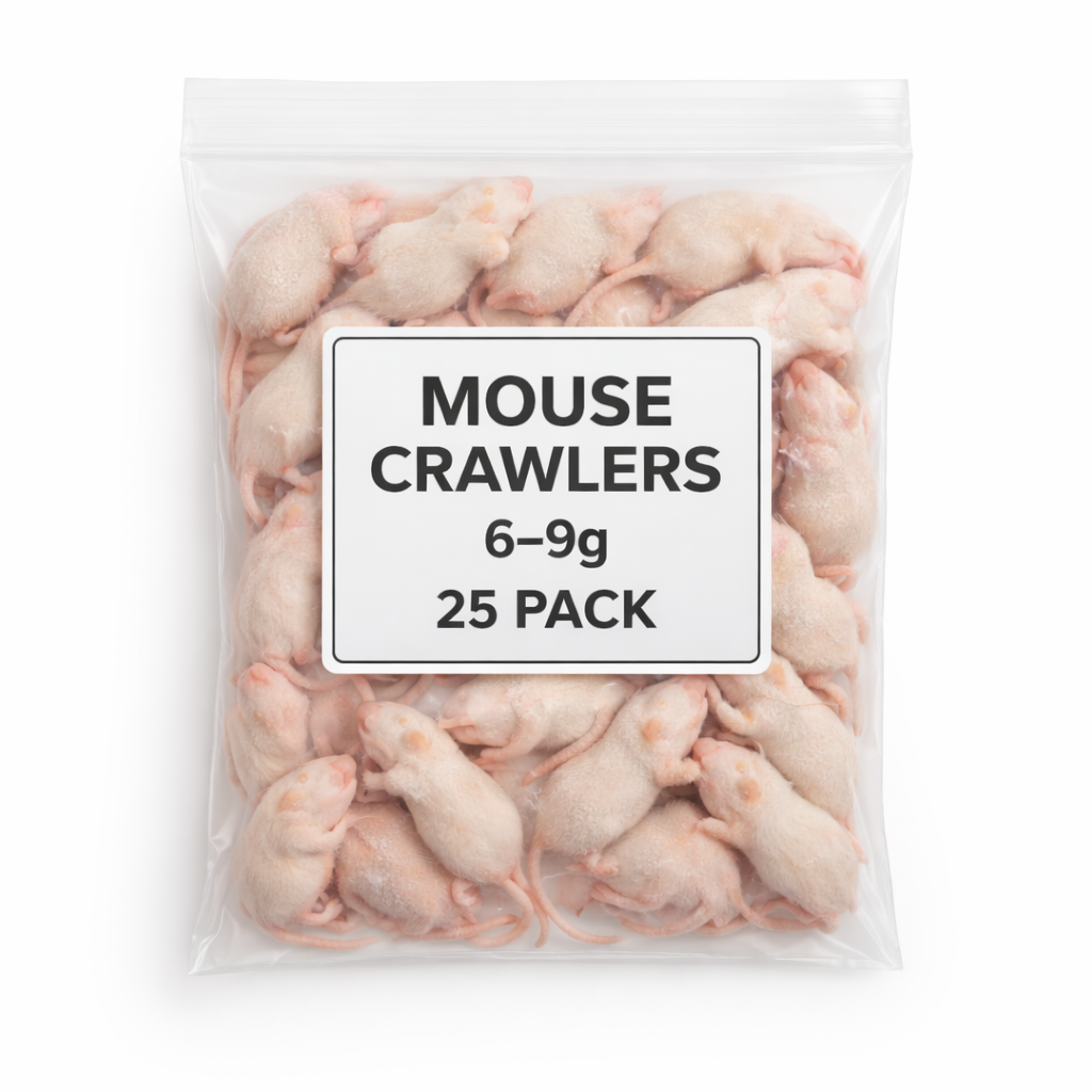 SiarFrozen Mouse Crawlers 25-pack — Frozen mouse crawlers weighing 6g-9g each, premium intermediate feed for juvenile reptiles and amphibians.