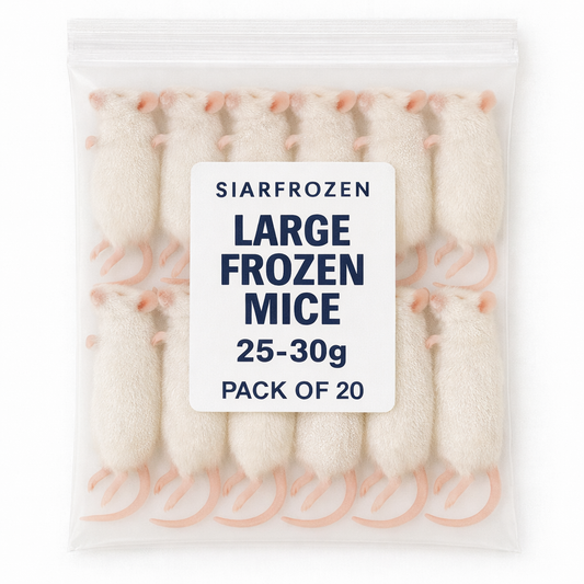 SiarFrozen Large Mice 20-pack — Bulk frozen mice weighing 25g-30g for feeding snakes and birds of prey, vacuum-sealed for freshness.