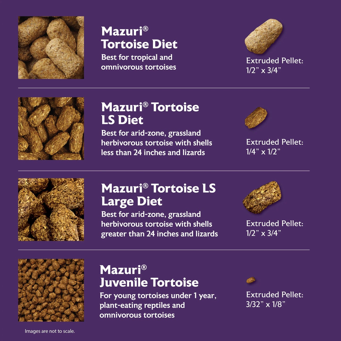 Mazuri Tortoise LS Diet 340g
