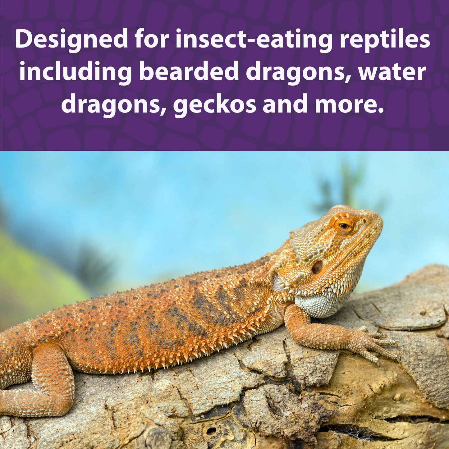 Mazuri Bearded Dragon Diet 226g