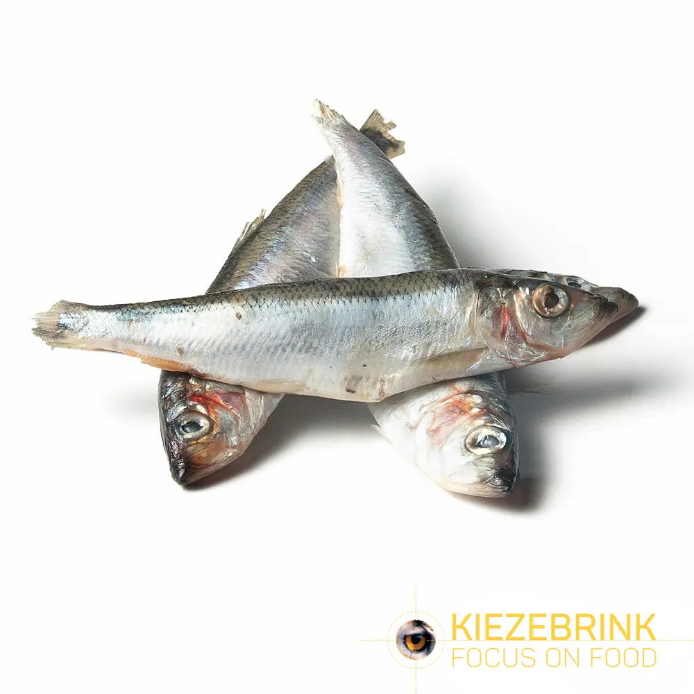 SiarFrozen Whole Herring 10kg Bulk Box