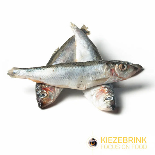 SiarFrozen Whole Herring 10kg Bulk Box