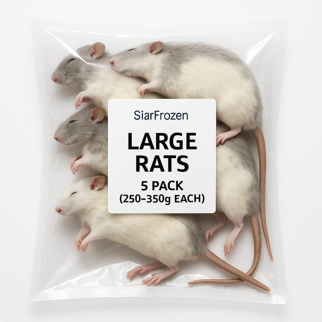 SiarFrozen Large Rats 5-pack — Frozen adult rats weighing 250g-350g, providing a substantial meal for large-bodied predatory reptiles.