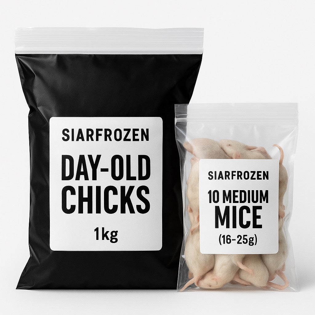 SiarFrozen Raw Feeding Bundle – 1kg Day-Old Chicks + 10 Medium Mice 16–25g