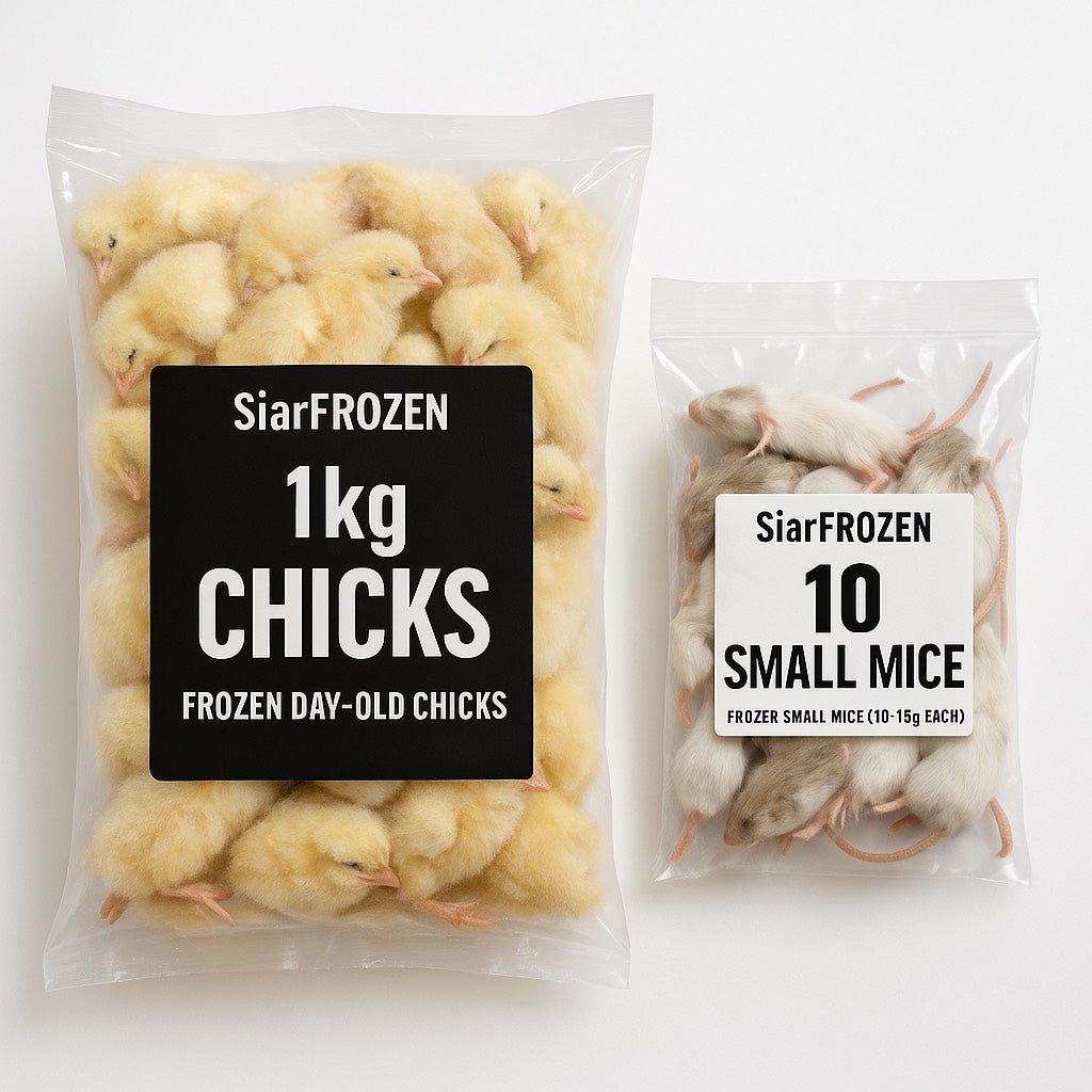 SiarFrozen Raw Feeding Bundle — A frozen pack containing 1kg of day-old chicks and 10 small mice (10-15g) for natural raw feeding.