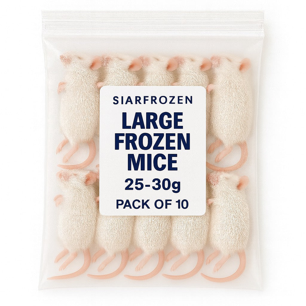 SiarFrozen Large Mice 10-pack — Frozen adult mice weighing 25g-30g, providing a substantial whole-prey meal for predatory reptiles.