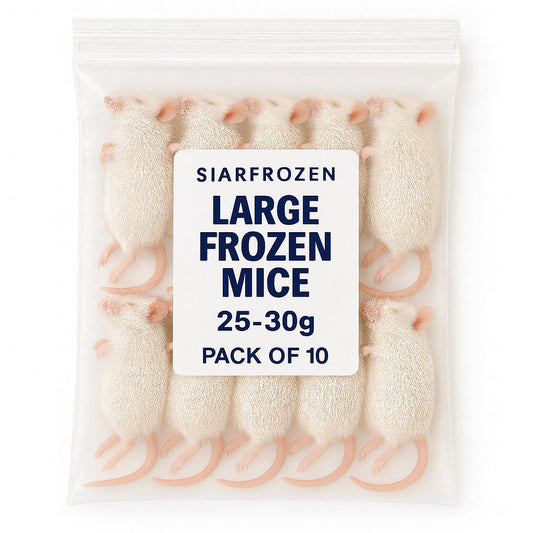 SiarFrozen Large Mice 10-pack — Frozen adult mice weighing 25g-30g, providing a substantial whole-prey meal for predatory reptiles.
