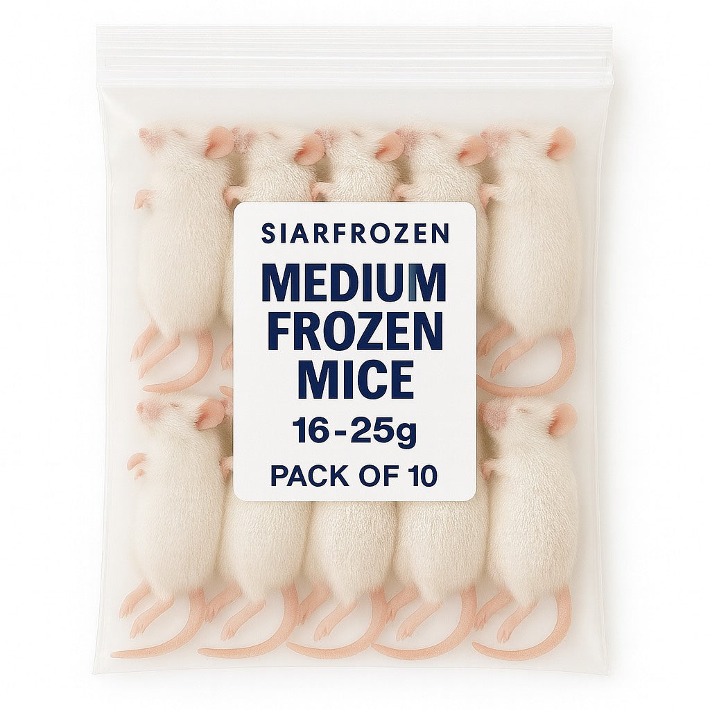 SiarFrozen Medium Mice 10-pack — Frozen adult mice weighing 16g-25g, providing a balanced whole-prey meal for predatory reptiles.
