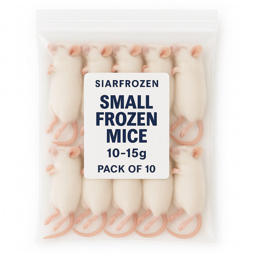 SiarFrozen Small Mice 10-pack — Frozen juvenile mice weighing 10g-15g, ideal for feeding sub-adult colubrids and small pythons.