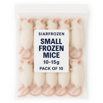 SiarFrozen Small Mice 10-pack — Frozen juvenile mice weighing 10g-15g, ideal for feeding sub-adult colubrids and small pythons.