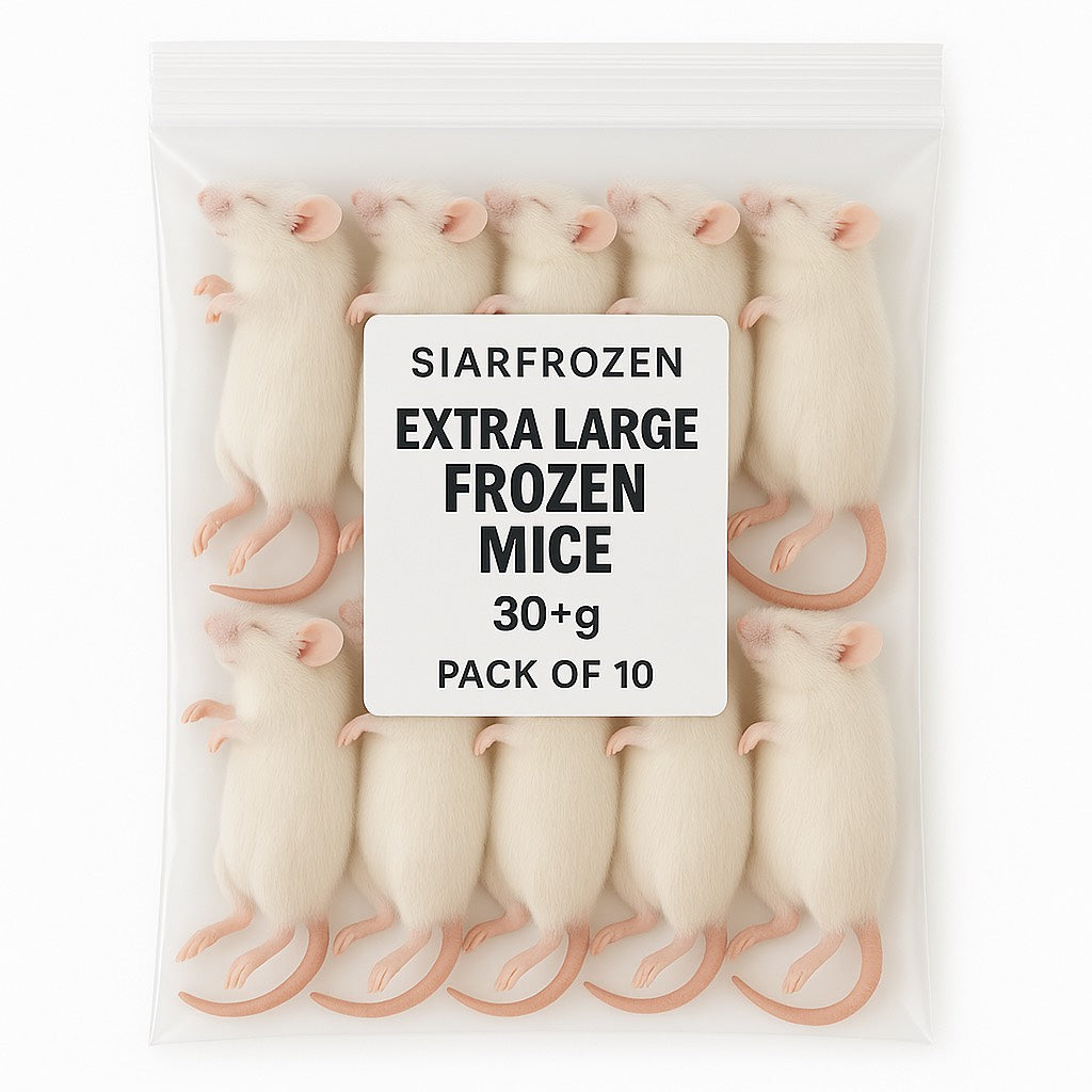 SiarFrozen XL Mice 10-pack — Frozen adult mice weighing 30g or more, providing a complete whole-prey meal for large reptiles.