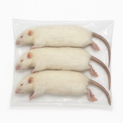 SiarFrozen Jumbo Rats 3-pack — Massive frozen rats weighing 450g+ for feeding large snakes and birds of prey, vacuum-sealed for freshness.