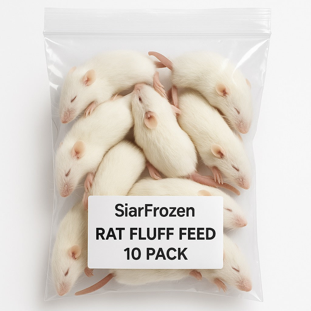 SiarFrozen Rat Fluffs 10-Pack — Premium frozen rodent feed for growing snakes and reptiles in professional vacuum-sealed packaging.