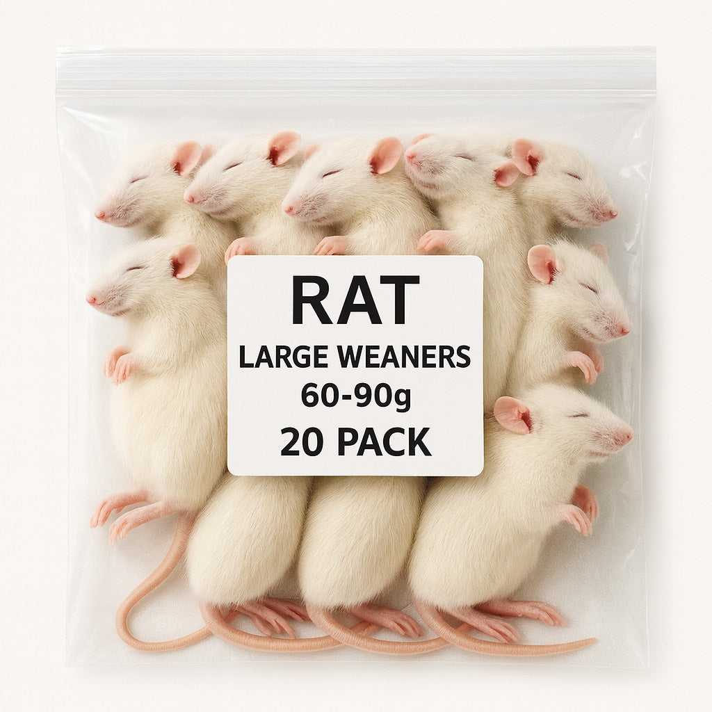 SiarFrozen Large Weaner Rats – 20 Pack 60–90g