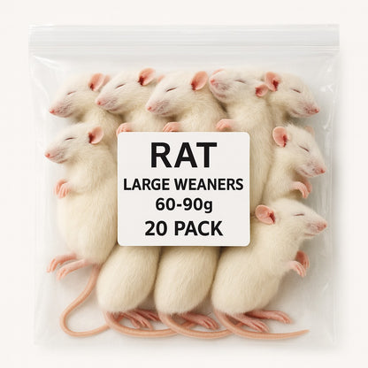 SiarFrozen Large Weaner Rats – 20 Pack 60–90g