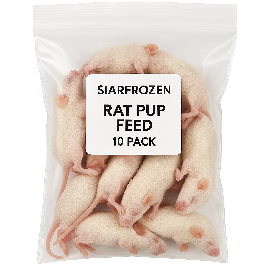 SiarFrozen Rat Pup 10-Pack — Premium flash-frozen feed for snakes and reptiles in clear vacuum-sealed packaging.