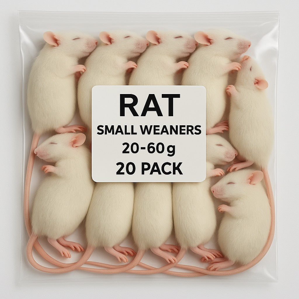 SiarFrozen Small Weaner Rats – 20 Pack 20–60g